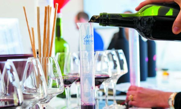 B-winemaker: Créez votre propre vin!-photo
