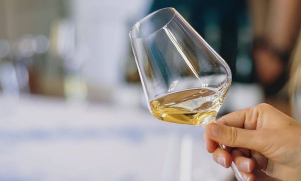6 wine tasting-photo