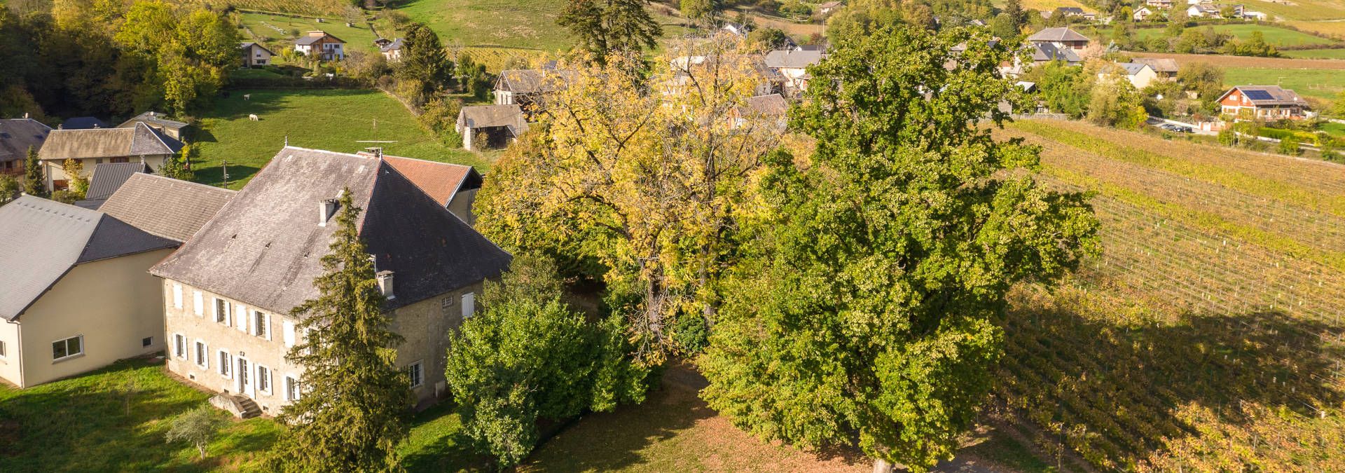 Domaine de Méjane - Rue des Vignerons