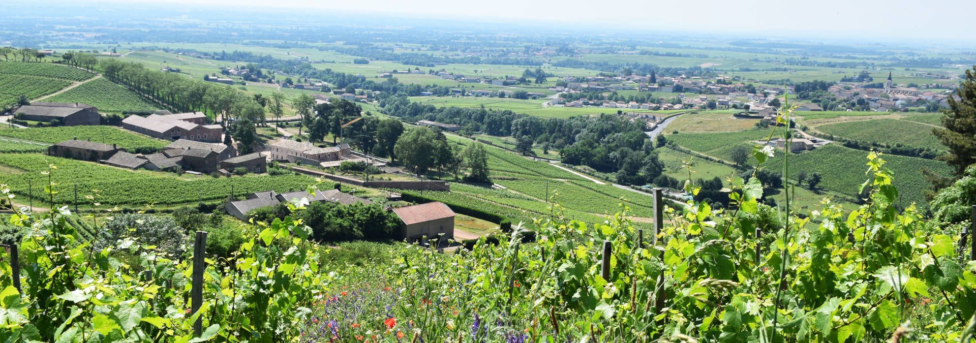 Château de Poncié - Rue des Vignerons