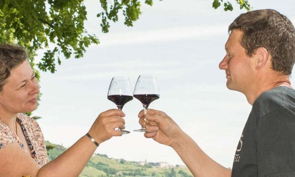 Découverte de nos vins-photo
