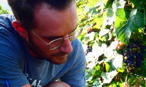 Parcours du vignoble et visite du domaine-photo