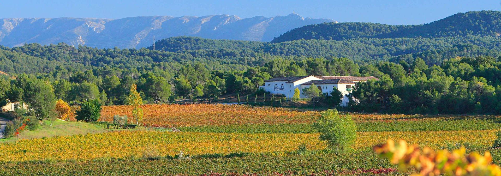 Château Paradis - Rue des Vignerons
