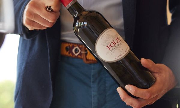 Découverte de nos vins-photo