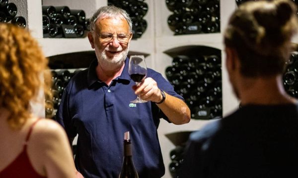 Découverte des vins du domaine en 3 couleurs-photo