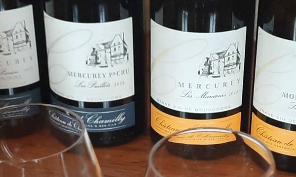 Dégustation de 4 vins-photo