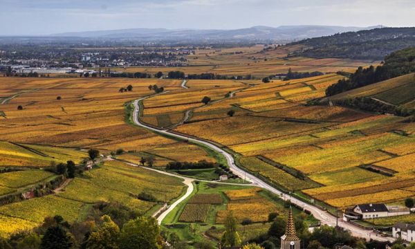 Journée Excursion en Côte de Beaune et Côte de Nui-photo