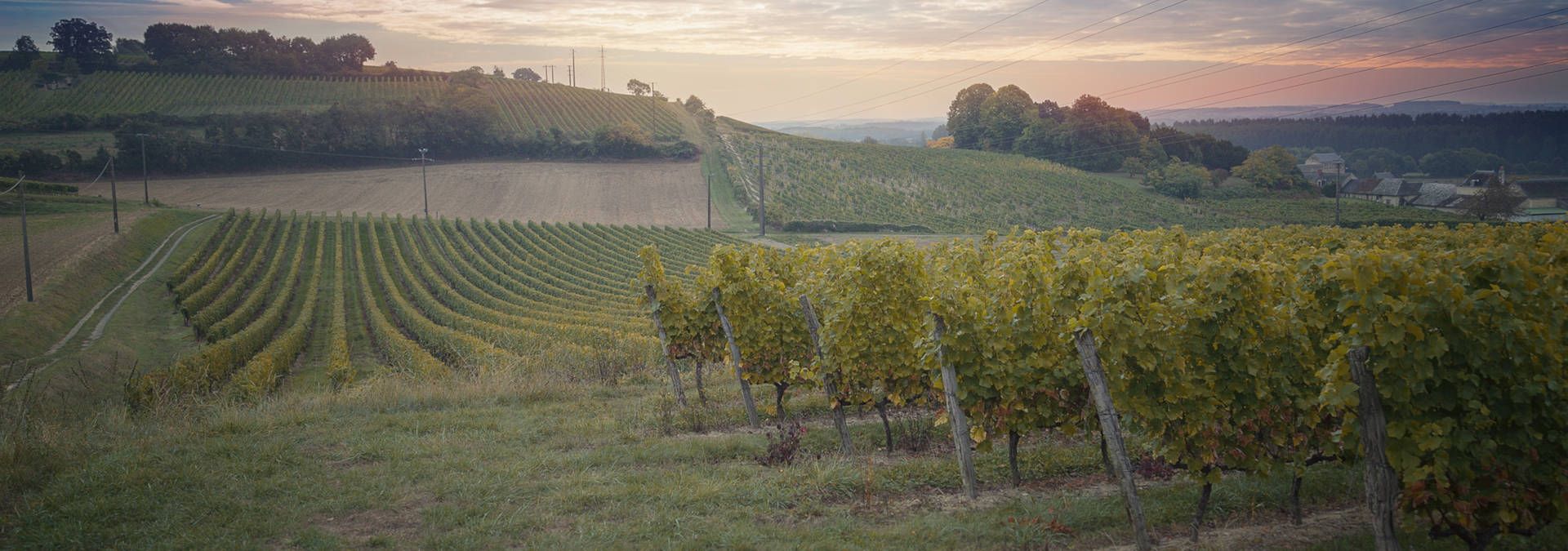 Pierre &amp; Bertrand Couly - Rue des Vignerons