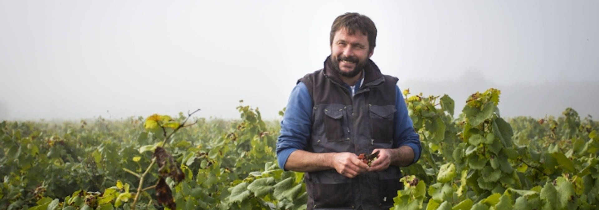 Domaine Bregeon - Rue des Vignerons