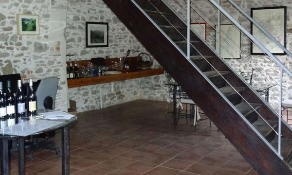 Dégustation des vins du domaine-photo