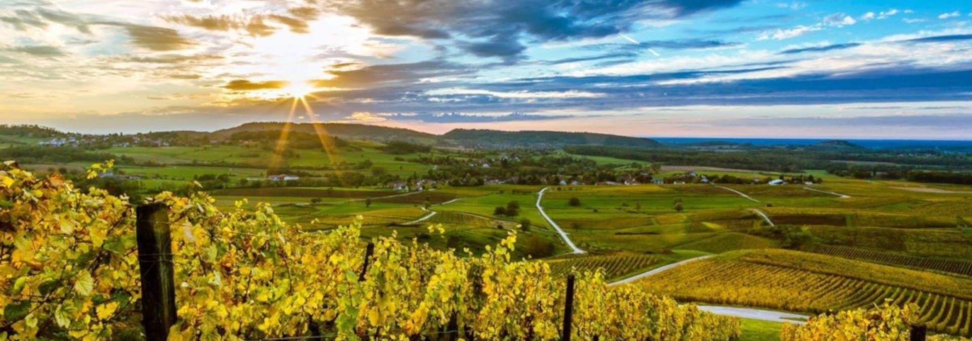 Domaine Les Monts Martin - Rue des Vignerons