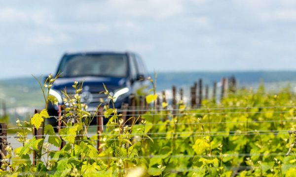 Matinée à la découverte de vignerons champenois, d-photo