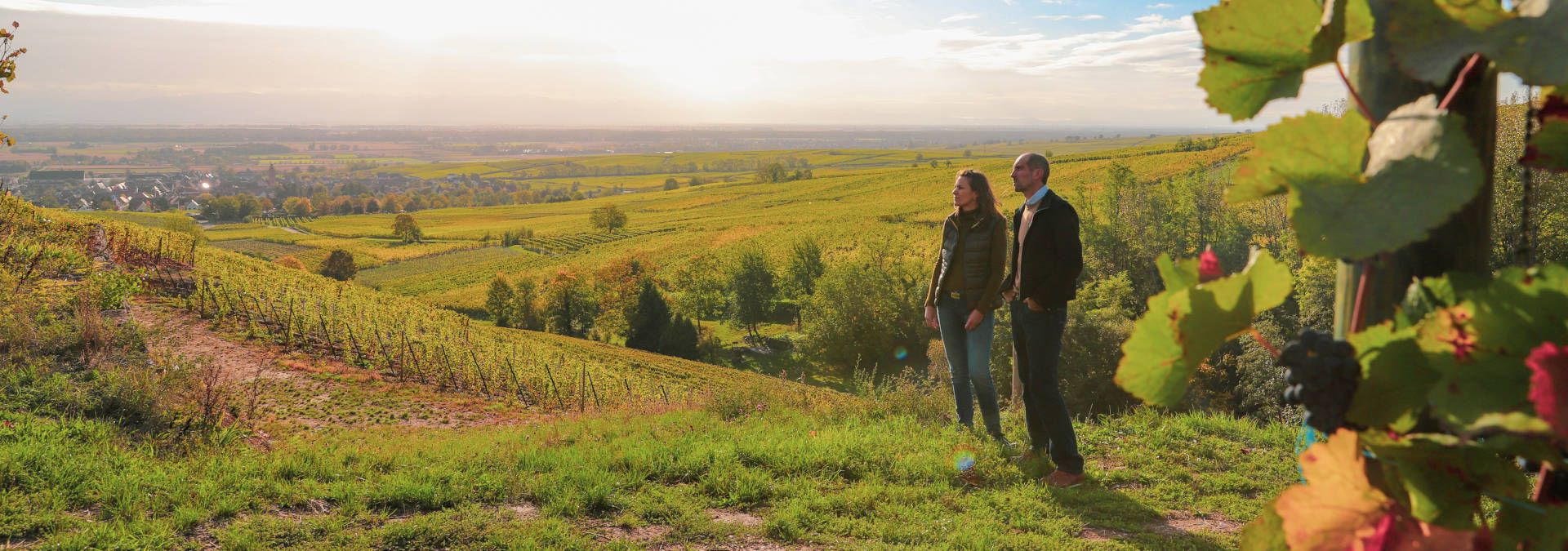 Domaine Emile Beyer Rue des Vignerons