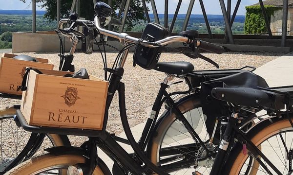 Electric Bike Tour-photo