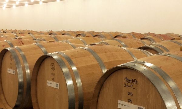 La Découverte-photo
