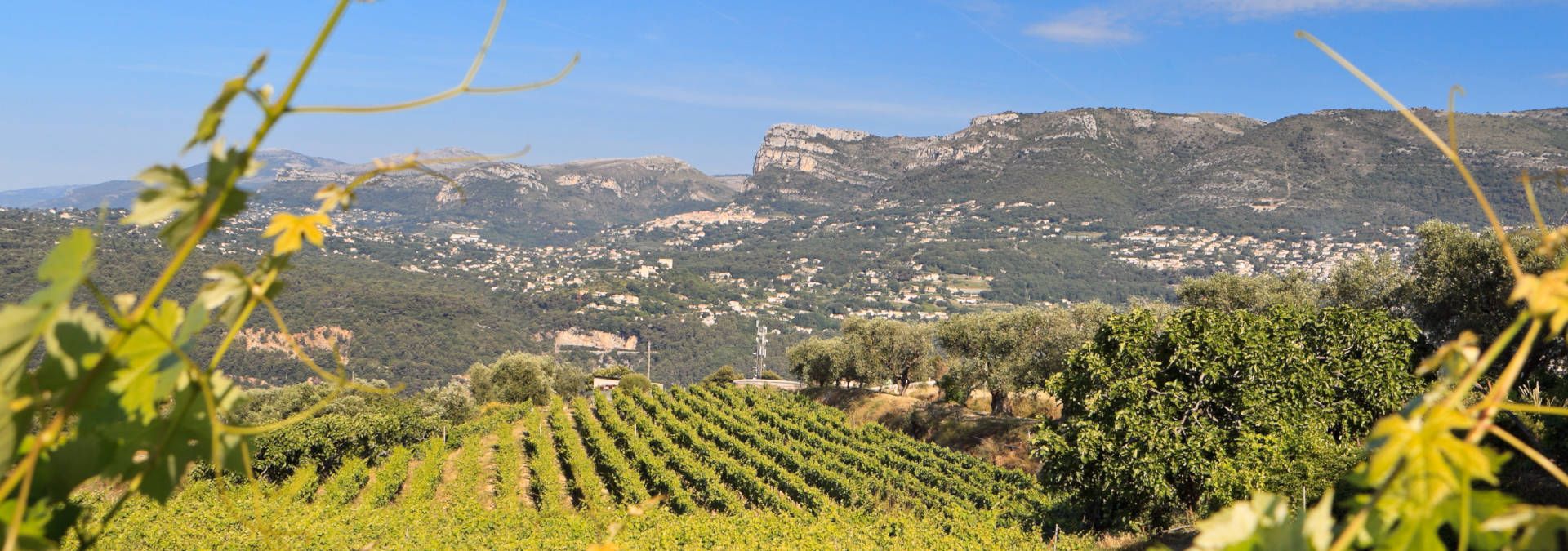 Domaine de la Source - Rue des Vignerons