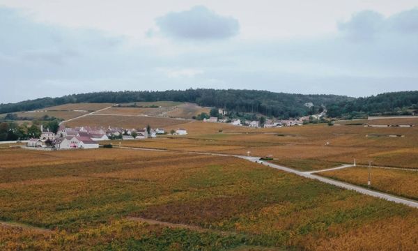 Découverte du domaine-photo