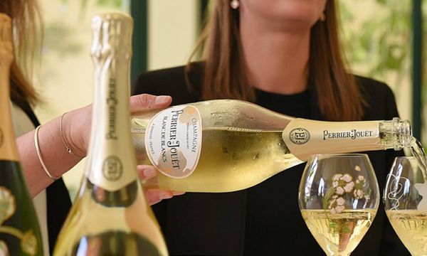 L'art du Chardonnay-photo