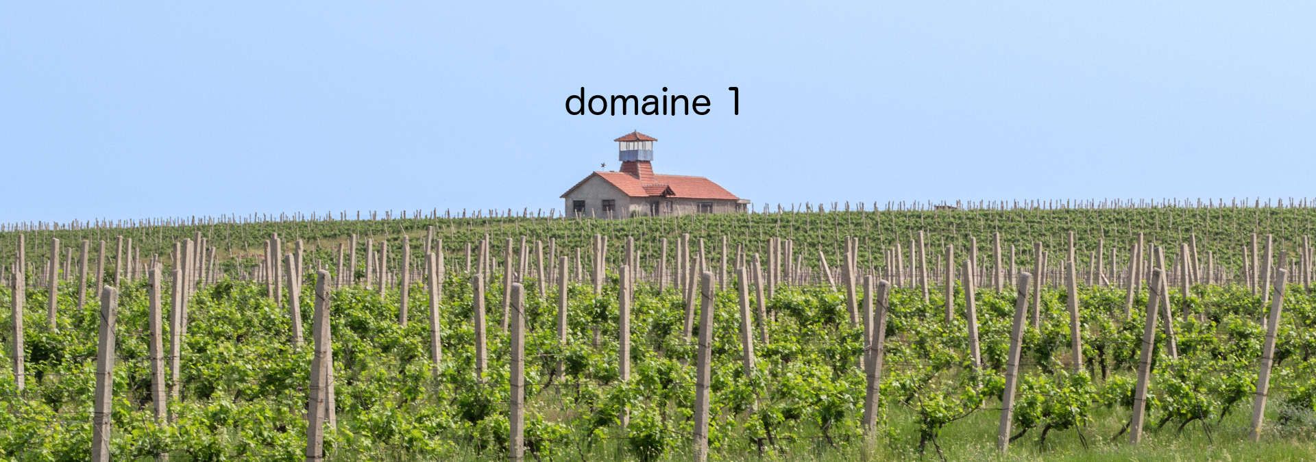 Domaine Dutest - Rue des Vignerons
