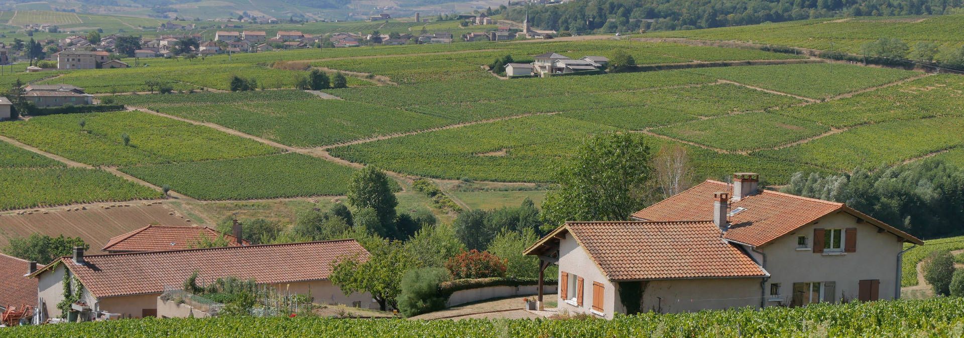 Domaine Les Roches Bleues - Rue des Vignerons