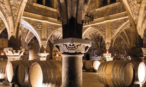 Visite découverte & dégustation de 3 vins-photo