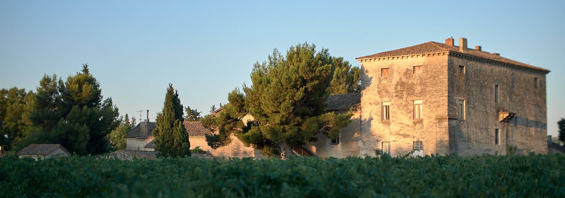 Domaine Saint-Pierre d'Escarvaillac - Rue des Vignerons