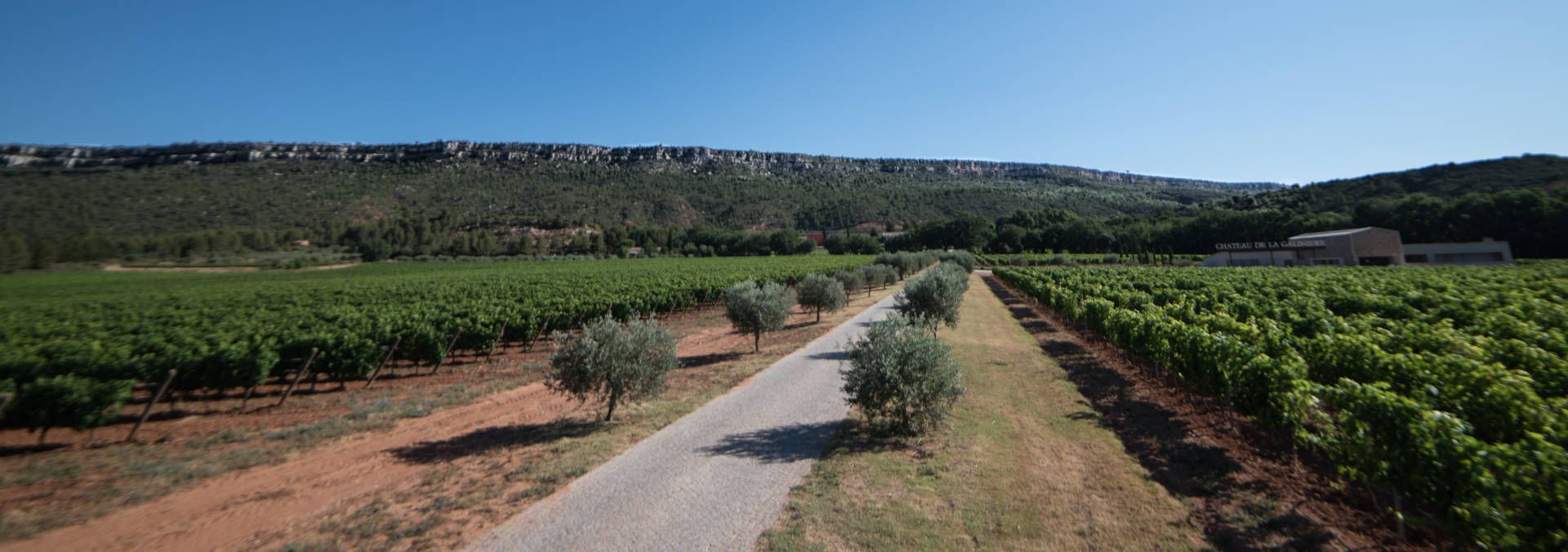 Château de la Galinière - Rue des Vignerons