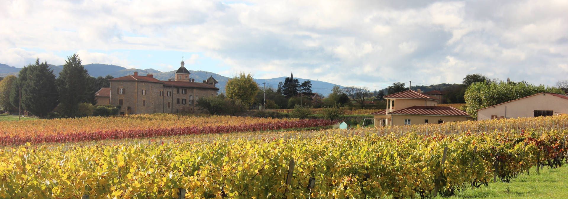 Vignoble Perras - Rue des Vignerons