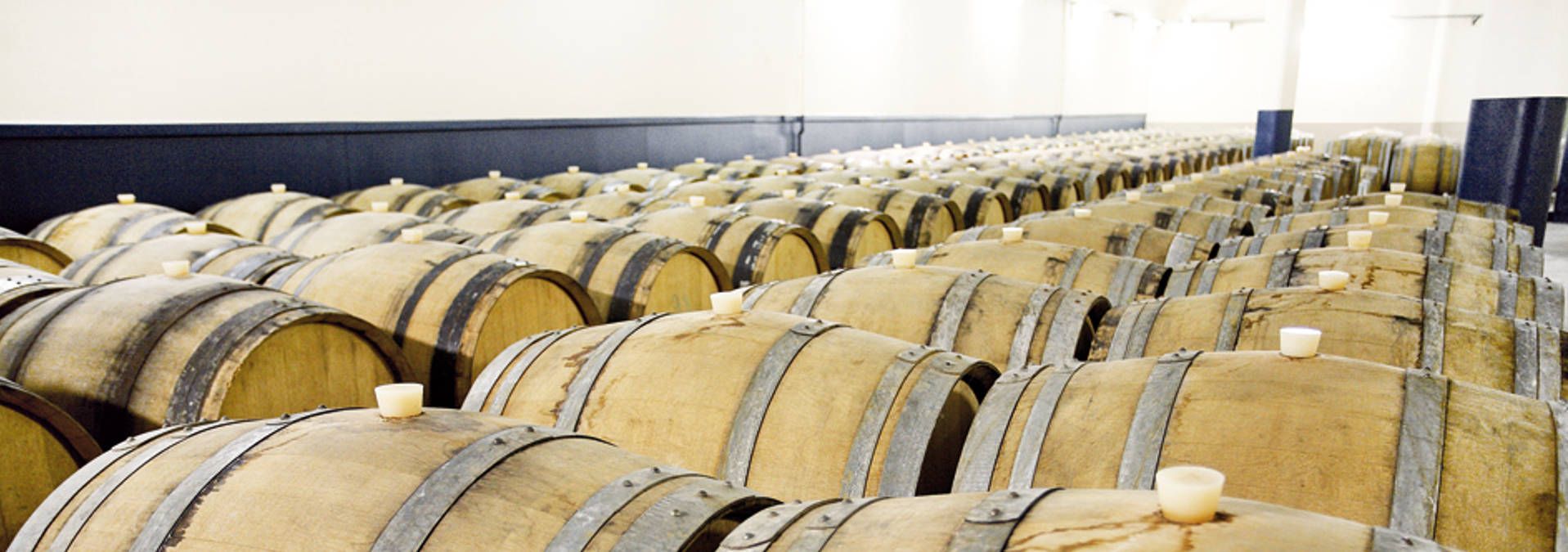 Champagne Charles de Cazanove - Rue des Vignerons