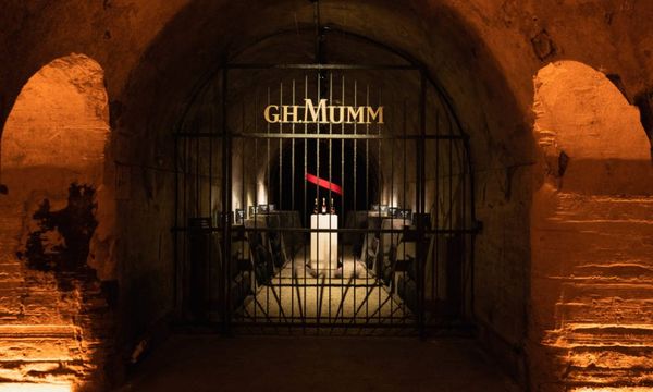 Full Day Mumm Wine Tour, family growers and tradit-photo