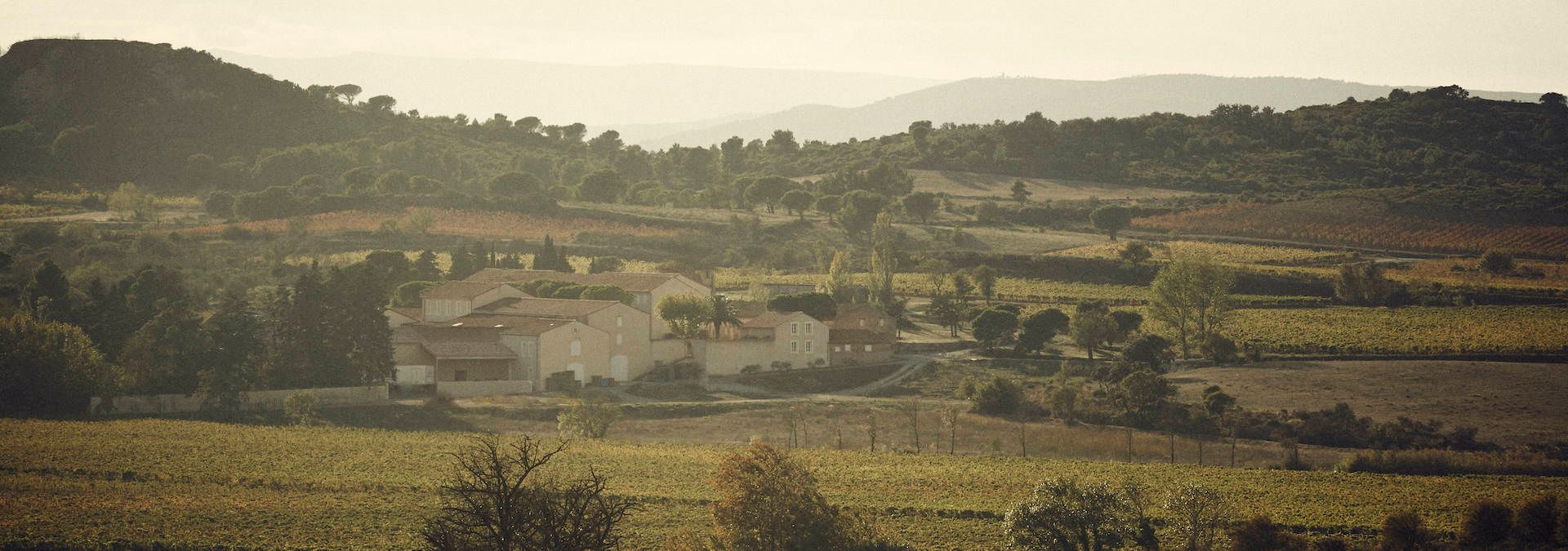Domaine d'Aussières - Rue des Vignerons