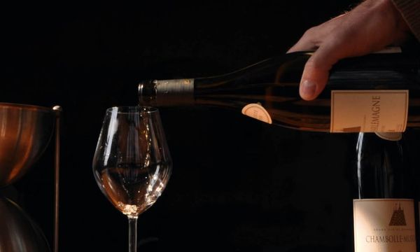 L'après-midi, visite des vignobles de la Côte de B-photo
