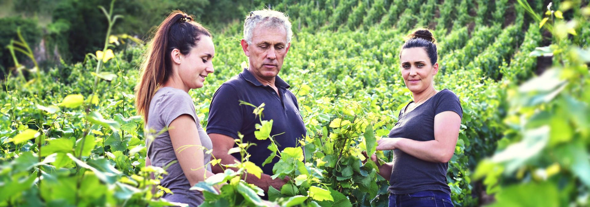 Domaine Charles, Père et Fille, Rue des Vignerons