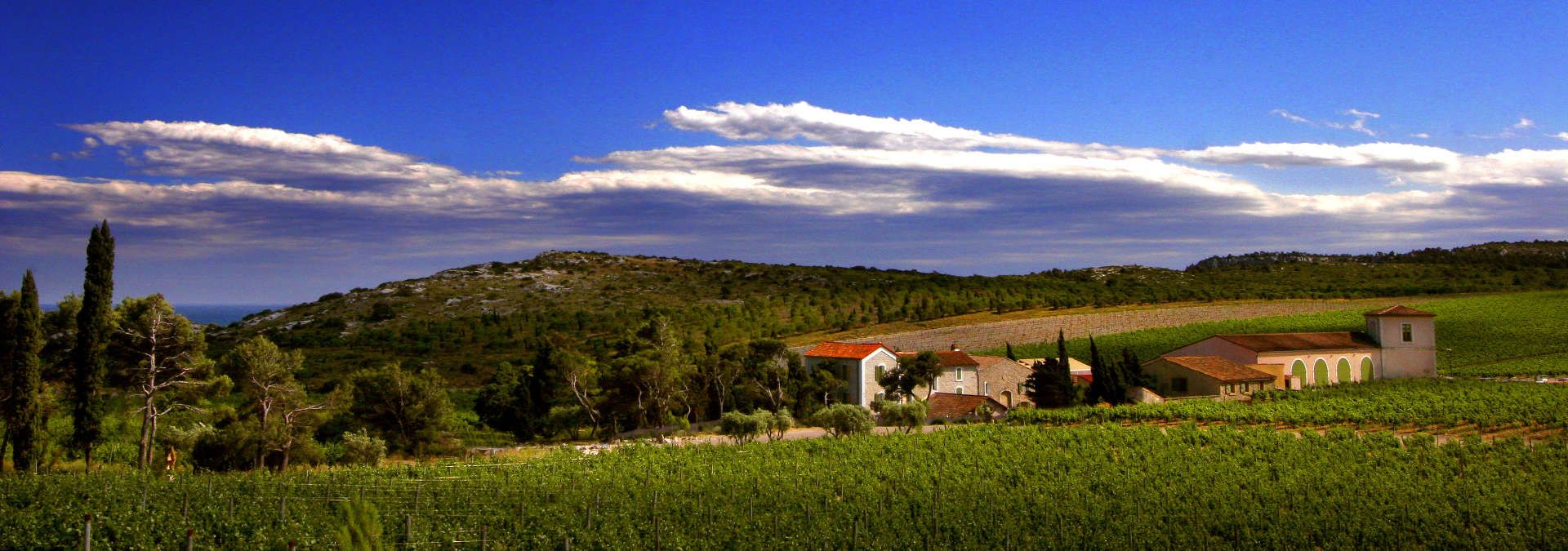 Château L'Hospitalet - Rue des Vignerons
