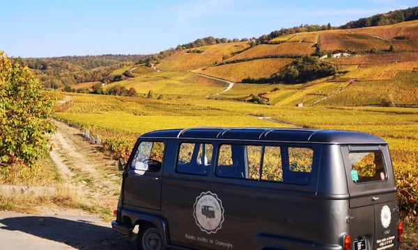 Demi-journée Excursion en Champagne en van vintage-photo
