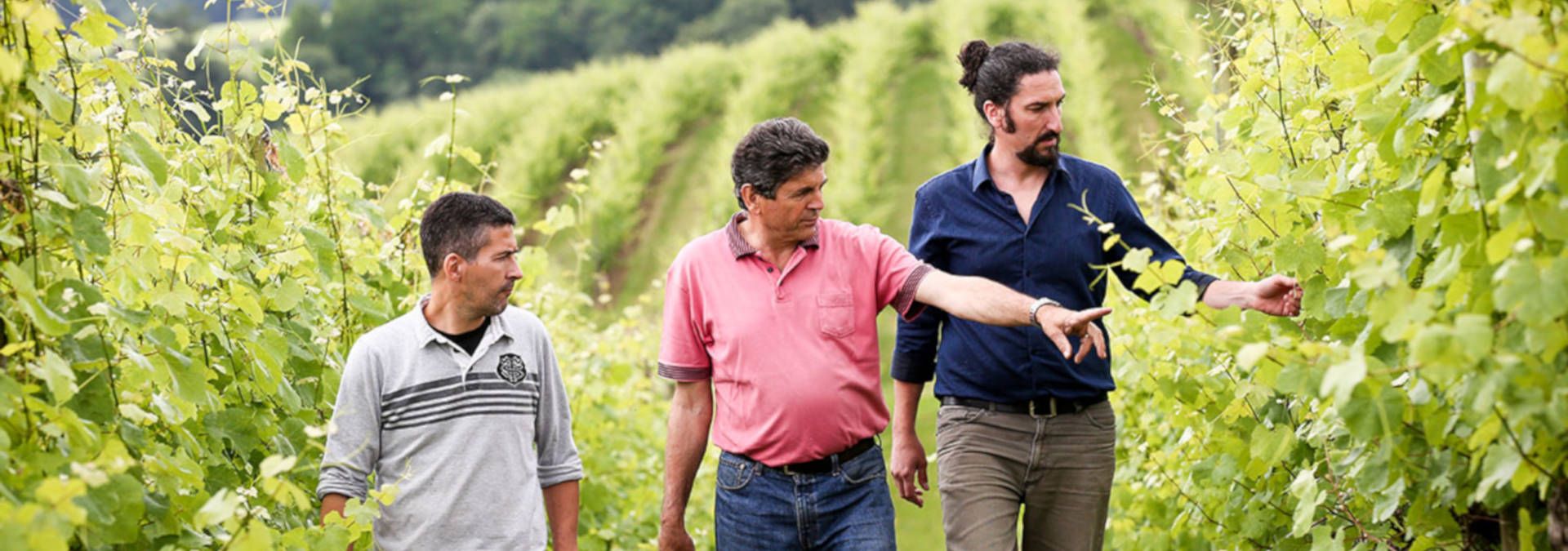 Domaine Cauhapé - Rue des Vignerons