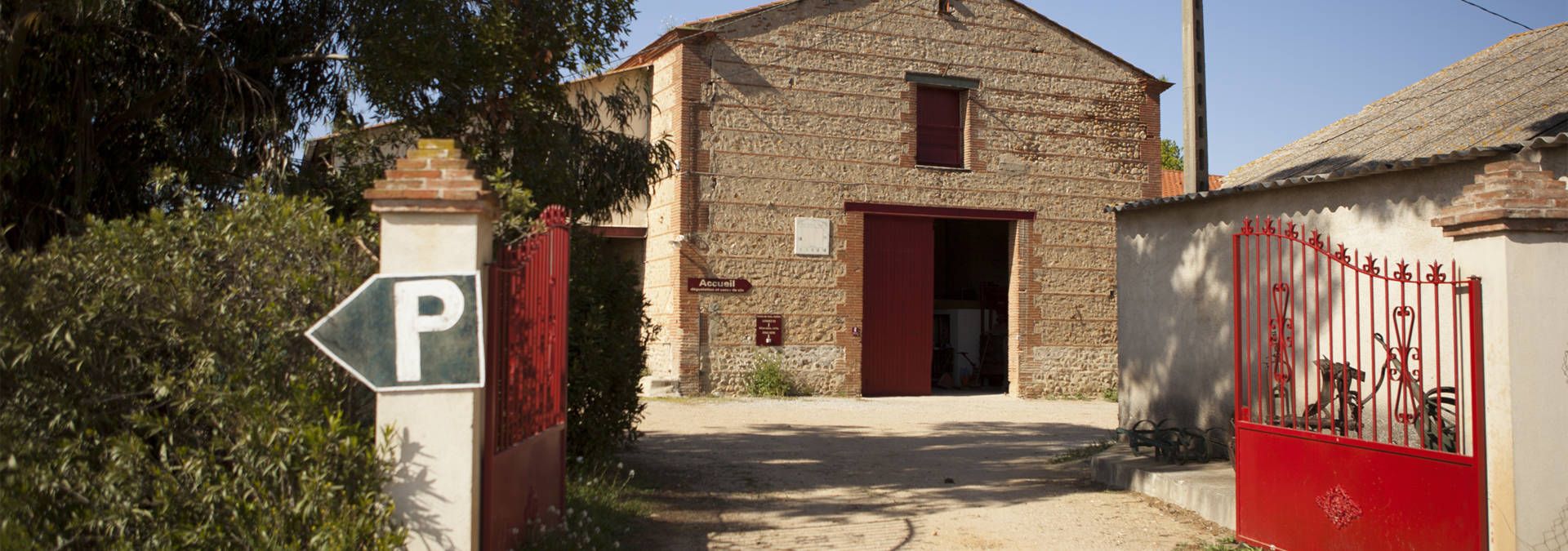 Mas Alart - Rue des Vignerons