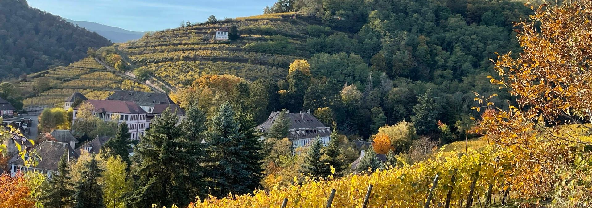 Domaine Jean Sipp - Rue des Vignerons