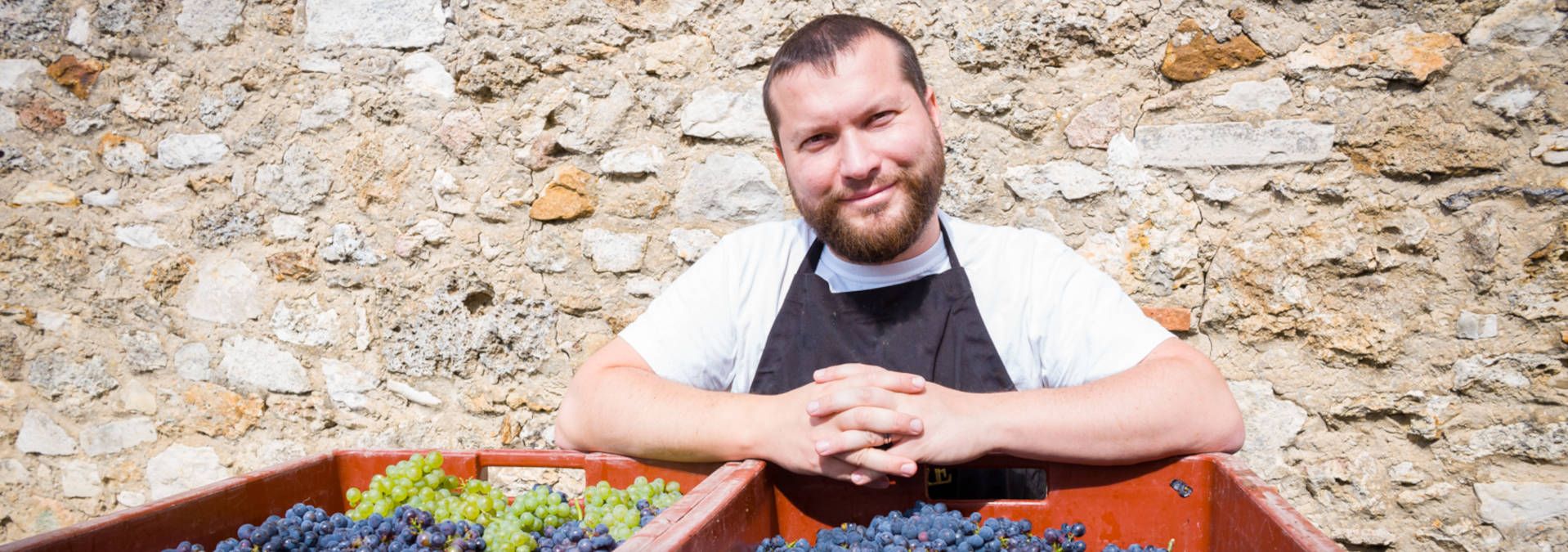 Champagne Roger-Constant Lemaire - Rue des Vignerons