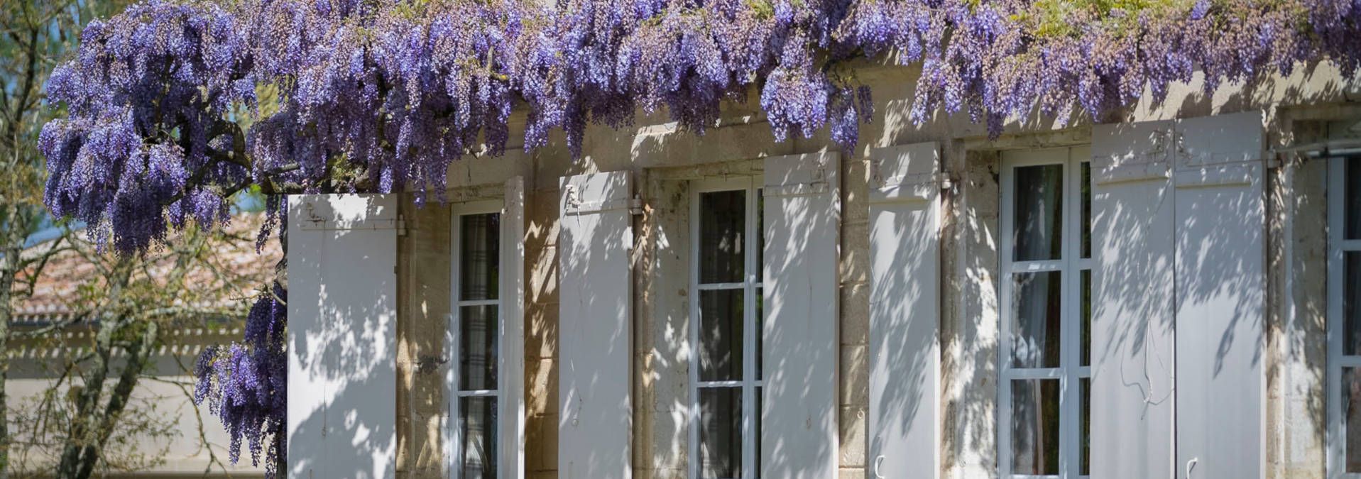 Château Montlabert - Rue des Vignerons