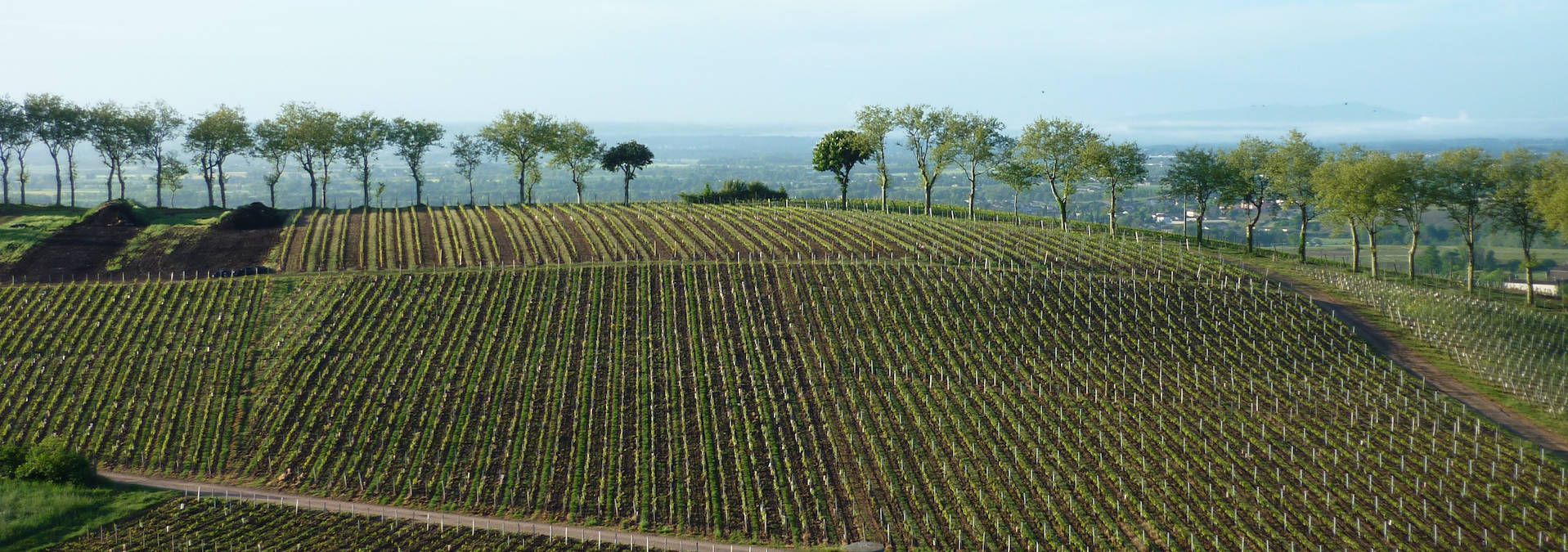Château de Poncié - Rue des Vignerons