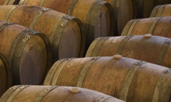 La Négrette dans tous ses états-photo