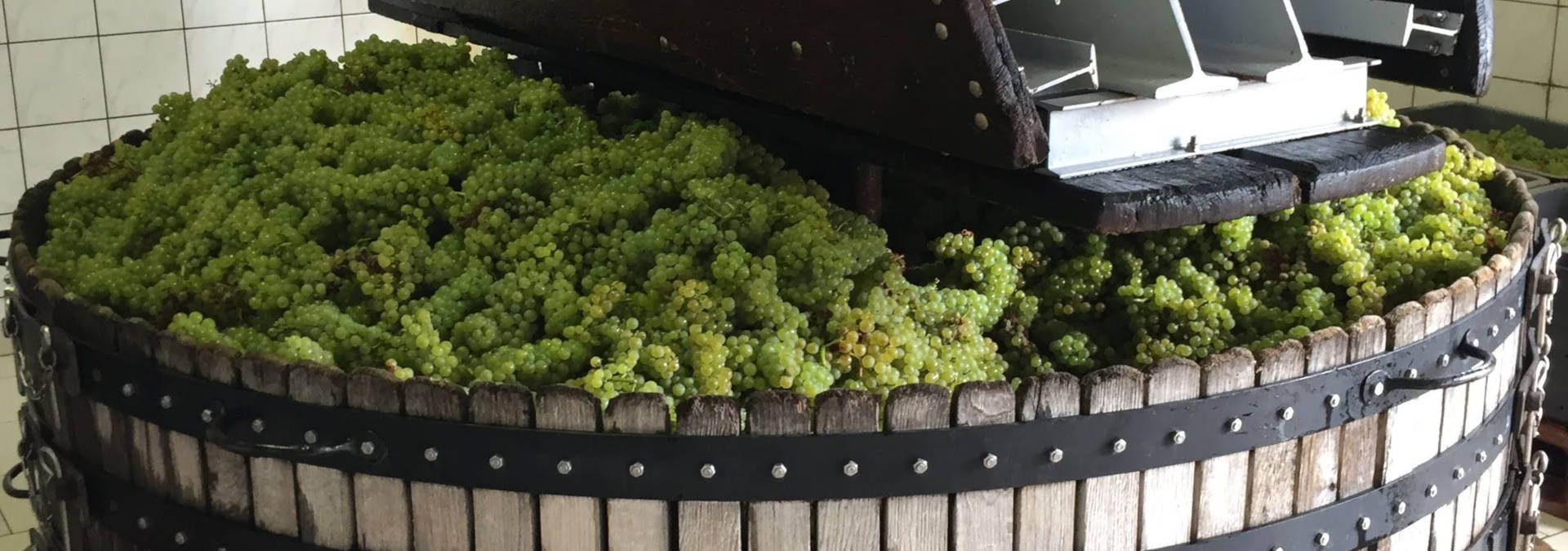 Champagne Fernand Lemaire - Rue des Vignerons