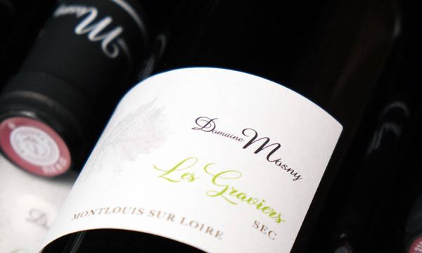 A la découverte du chenin Blanc-photo