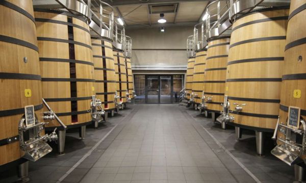 Visite Terroir-photo