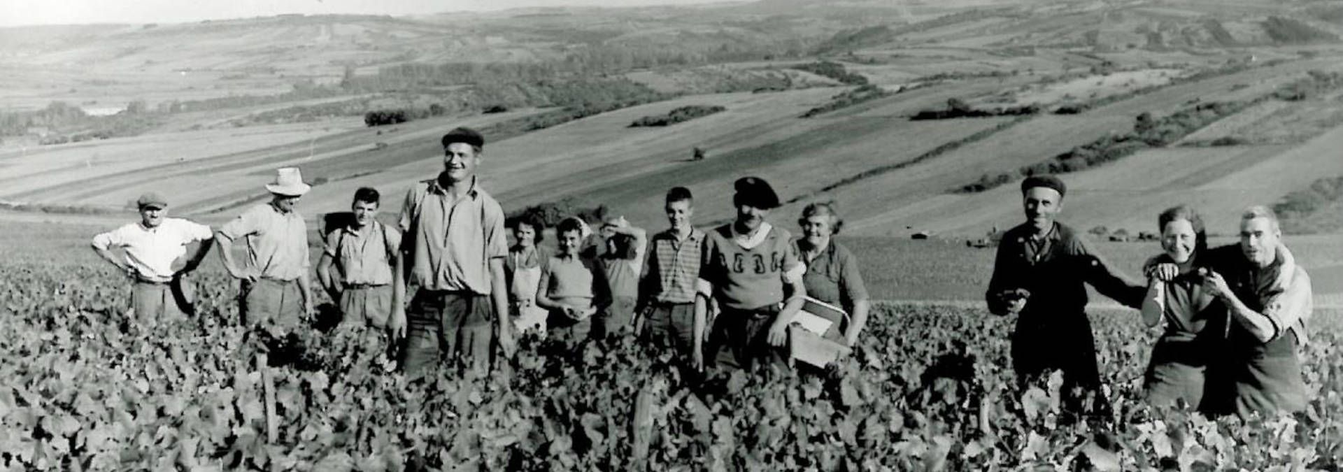 Domaine Jean Collet et Fils - Rue des Vignerons