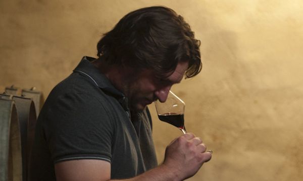 Découverte de nos vins-photo