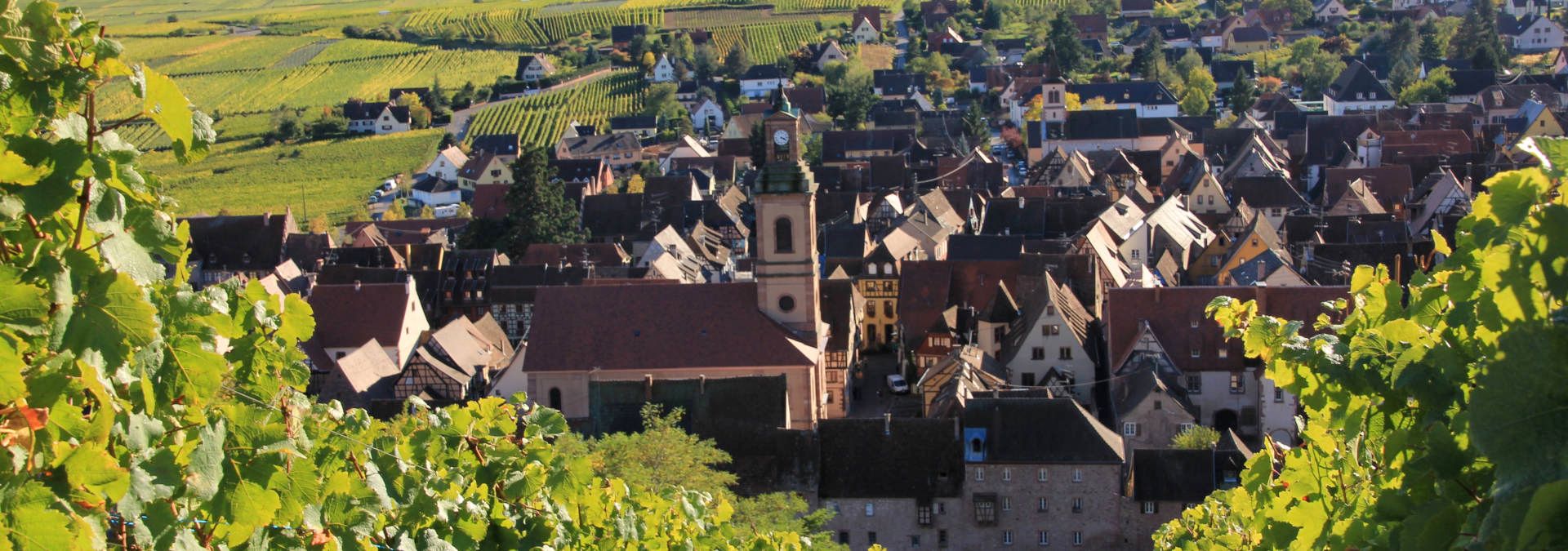 Domaine Famille Hugel, Riquewihr - Rue des Vignerons