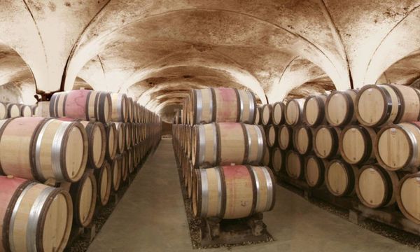 Visit of our cellars followed by a tasting session-photo
