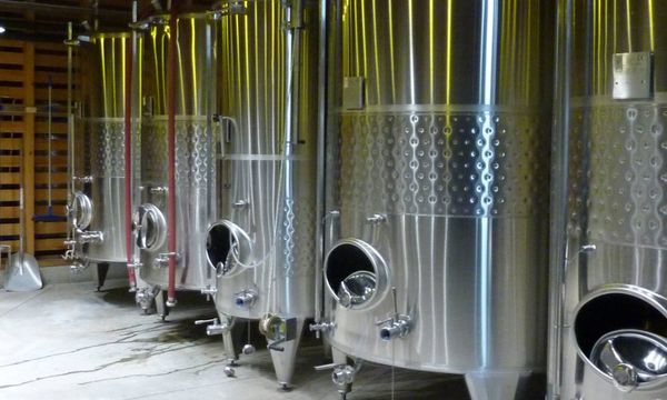 Dégustation commentée de 3 cuvées en biodynamie-photo